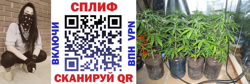Все наркотики Киржач Героин ГАШ APVP МАРИХУАНА Кетамин COCAIN