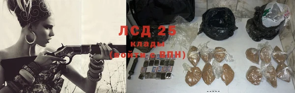 ПСИЛОЦИБИНОВЫЕ ГРИБЫ Абаза