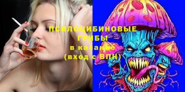бошки Алексин