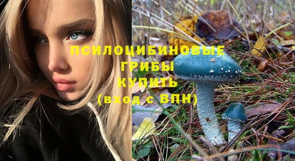 ПСИЛОЦИБИНОВЫЕ ГРИБЫ Абаза
