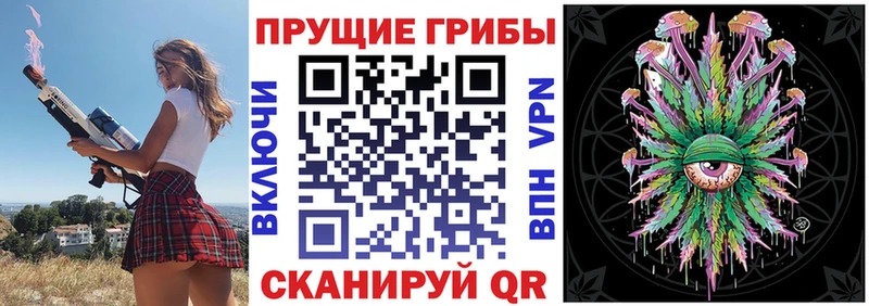 купить наркоту  Киржач  Галлюциногенные грибы Cubensis 
