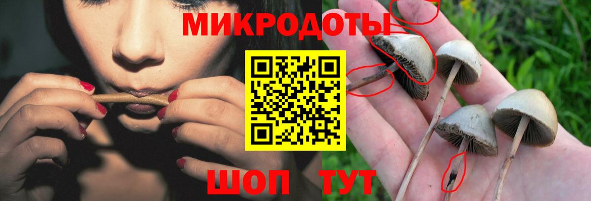 Псилоцибиновые грибы MAGIC MUSHROOMS  Вход с VPN  Киржач 